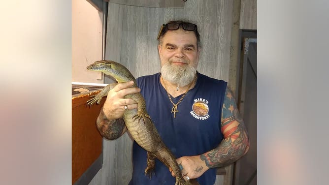 Mike Stefani of Mike's Monitors shows off a monitor lizard