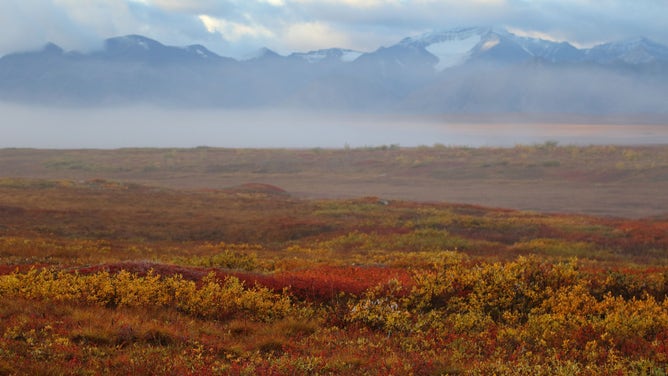 Alaska Fall Leaves Change