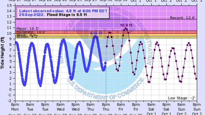 Savannah River Water Gauge