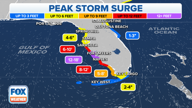 Hurricane Ian Storm Surge