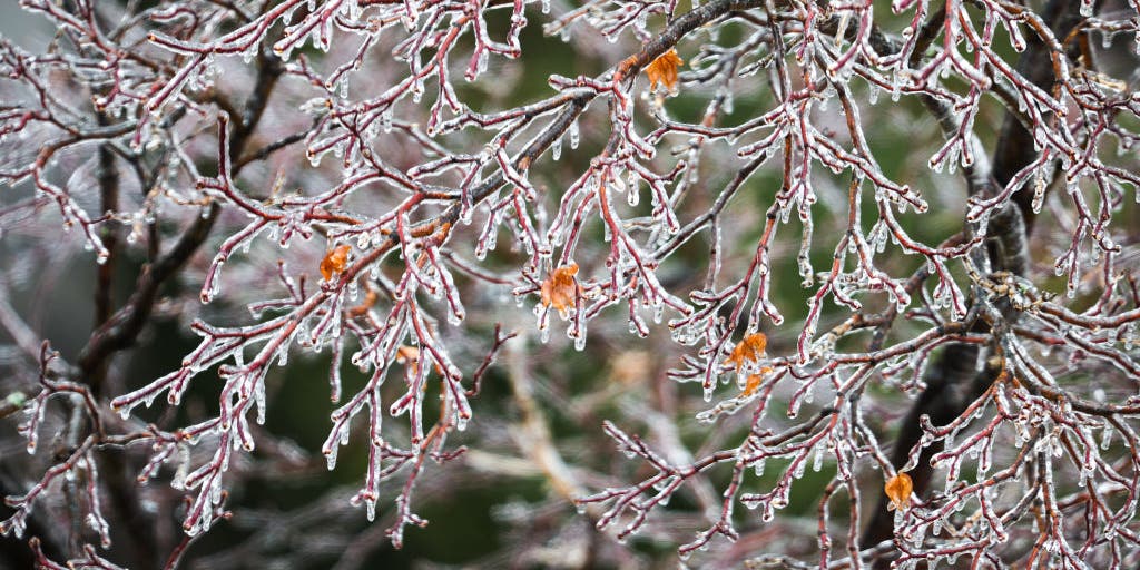 Ice storm threatens power outages, slick travel across northern Great Lakes into inland Northeast