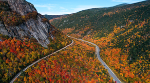 Discover fall foliage maps and where to see the fall foliage
