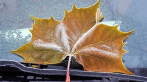 Here’s when to expect the first freeze of the season