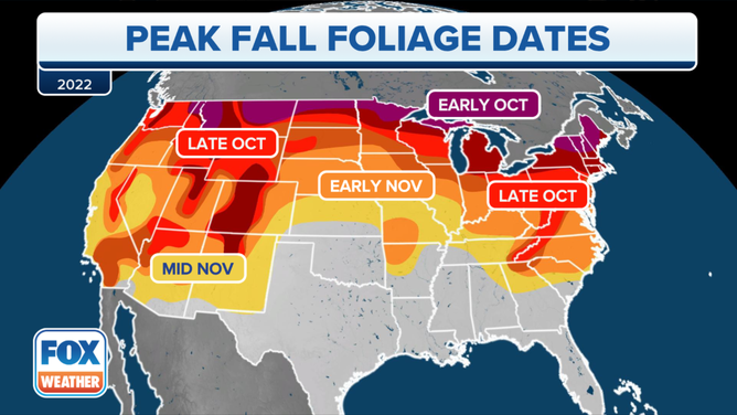 Peak fall foliage map