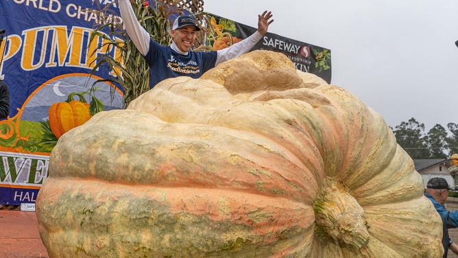 Travis Gienger celebrates after winning the 2022 Half Moon Bay Pumpkin Festival Weigh Off. 