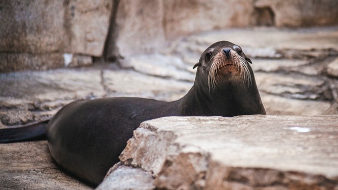 SeaWorld San Diego