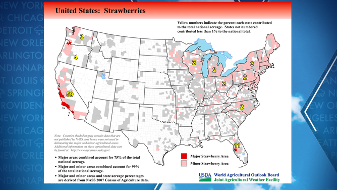 Strawberry production