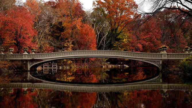 Fall foliage over the Bow Bridge in Central Park in New York, New York, on November 16, 2021. - Built in 1862, this Victorian-era bridge spans 60 feet across the Central Park Lake and connects Cherry Hill and the Ramble. (Photo by TIMOTHY A. CLARY / AFP) (Photo by TIMOTHY A. CLARY/AFP via Getty Images)