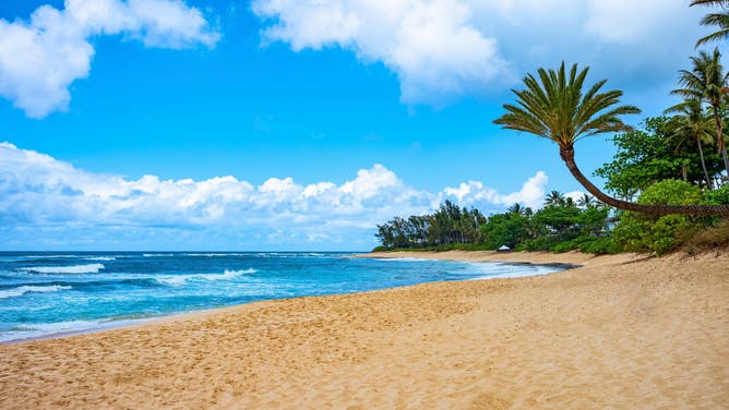 A beach on the island of Oahu in Hawaii.
