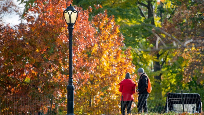 NEW YORK, NEW YORK - NOVEMBER 19: People stand near fall folliage in Central Park during the final days of the fall foliage on November 19, 2021 in New York City. Temperatures have dropped into the 40s and the U.S. National Weather Service has issued a frost advisory issued for parts of New jersey and New York City in the early hours of Saturday morning. (Photo by Alexi Rosenfeld/Getty Images)