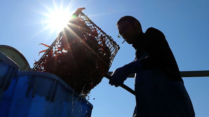 Snow Crab Season Begins