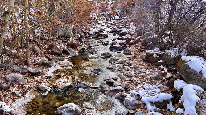 Yellowstone National Park