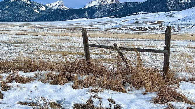 Yellowstone National Park