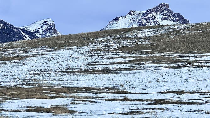 Yellowstone National Park