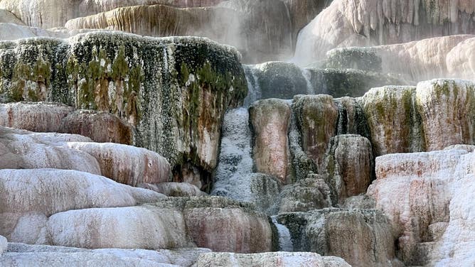 Yellowstone National Park