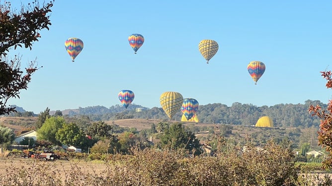 The hot air balloons Andrews saw from her window.