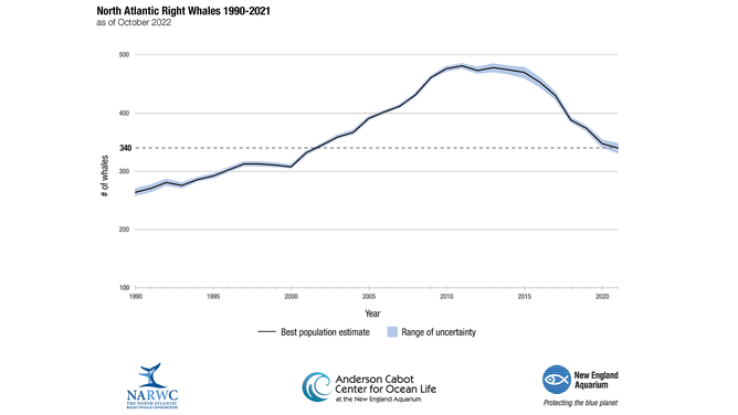 This graph shows the decline of the North Atlantic Right Whale population.