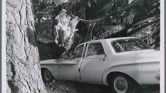 Columbus Day Storm Damage