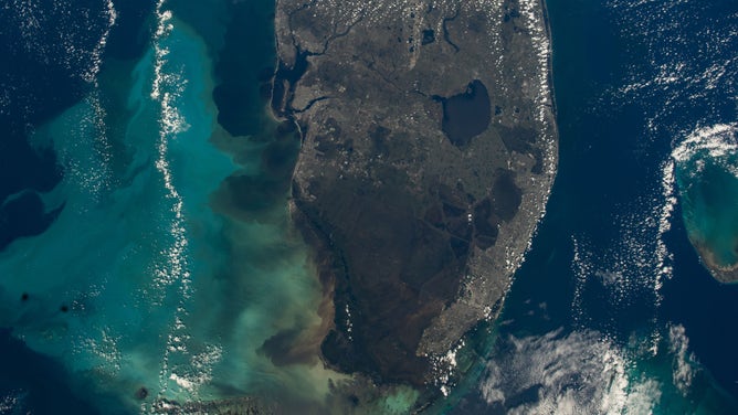 Red tide is blooming in Southwest Florida after Hurricane Ian. Will it  reach Tampa Bay?