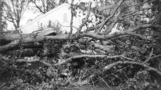 Historic ‘Columbus Day Storm’ struck the Pacific Northwest 61 years ago ...