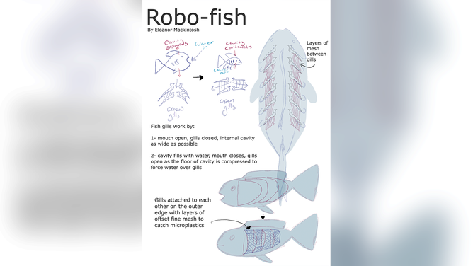 Meet Gilbert: The robotic fish designed to help clean plastic from