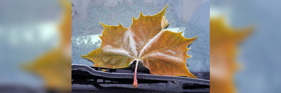 Here’s when to expect the first freeze of the season