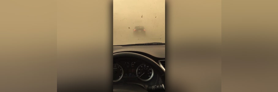 Watch: Driver caught in thick dust storm near California-Mexico border