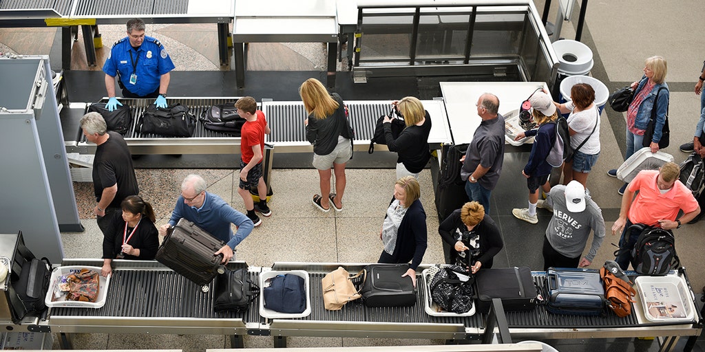 What Thanksgiving Foods Can You Take Through TSA Checkpoints? | Fox Weather