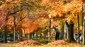 Fall cold front to bring cooler temperatures, rain and storms across northern US into mid-September