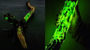 'True form of magic': Glowing fungus makes for surreal neon scene along dark Washington beaches