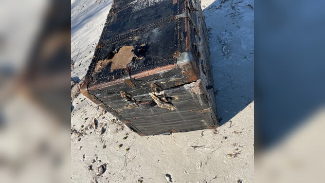 Trunk found on Rattlesnake Island