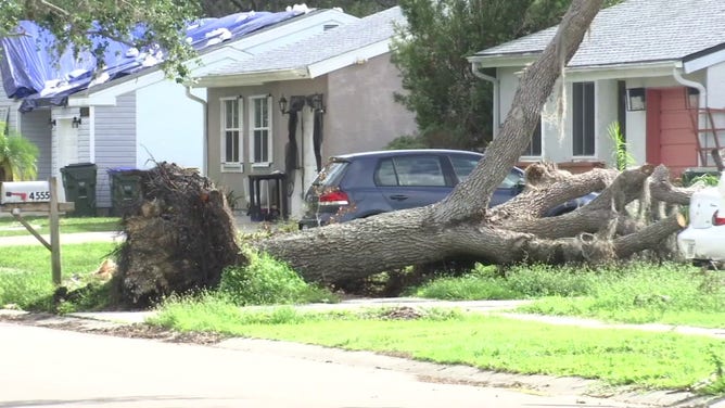 Hurricane Ian recovery