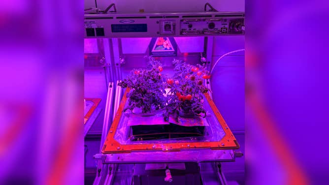 NASA resupply mission