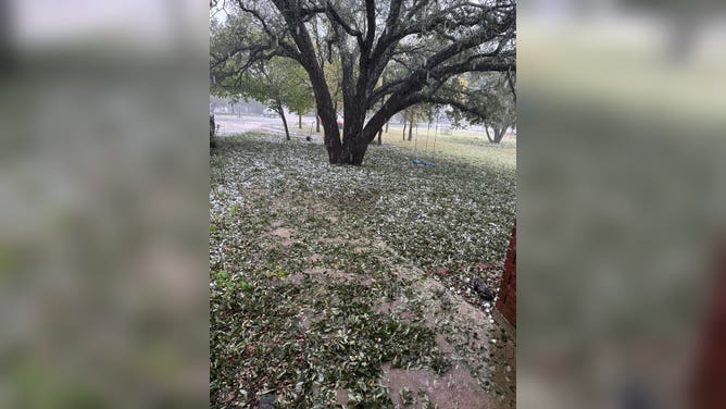 Hail scattered across a yard in Salado, Texas on November 11, 2022.