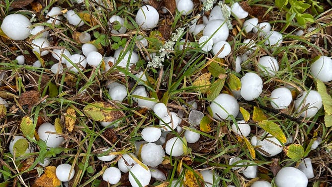 Hail between blades of grass in Salado, Texas on November 11, 2022.