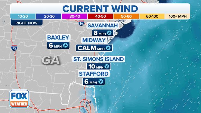 A graphic showing current wind speeds and direction near the chemical plant explosion in Georgia.