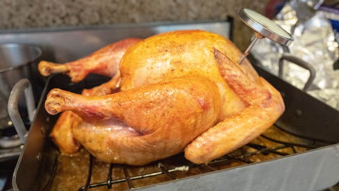 Cooked turkey in roasting pan with meat thermometer during the preparation for Thanksgiving.