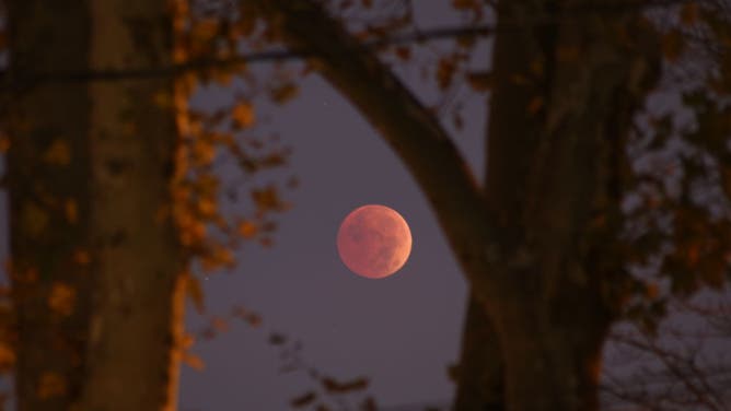 A total lunar eclipse known as the Blood Moon is observed and recorded as the last lunar eclipse before 2025 in New York City, United States on November 08, 2022.