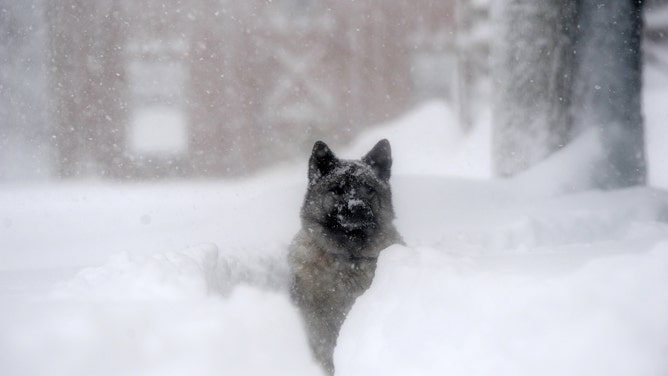 Up to 5 feet of lake-effect snow forecast for Buffalo, New York - WEIS