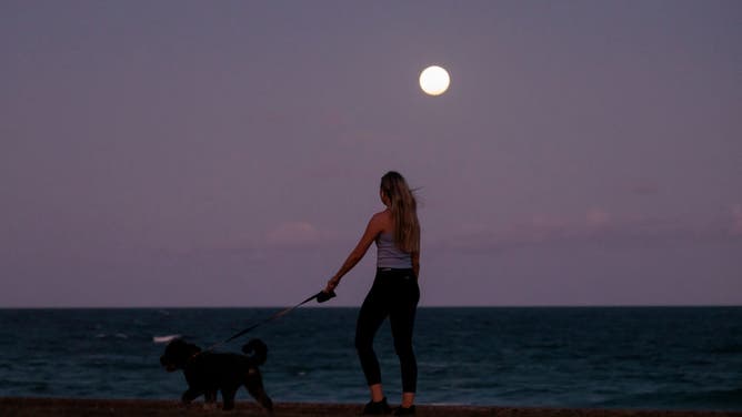 A person walks along Manly beach as a partial eclipse of the Moon begins on November 08, 2022 in Sydney, Australia. Australians will experience the first visible total lunar eclipse of the year on Tuesday, with the eclipse also being visible from New Zealand.