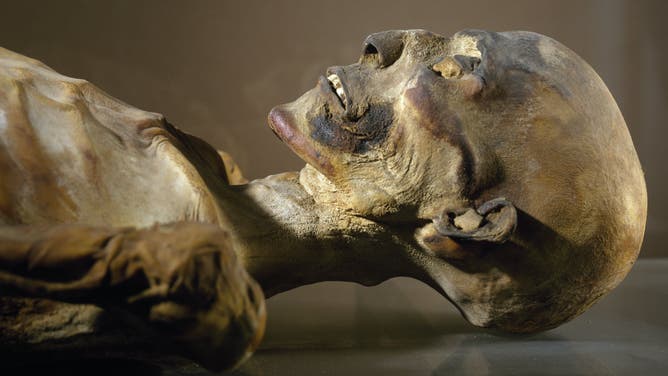 Ancient Egyptian mummy.