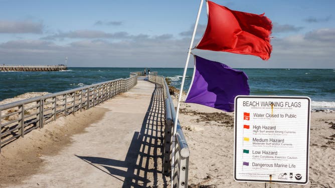 Warning flags sign on the beach at Sebastian Inlet State Park.