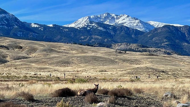 Yellowstone is an amazing place': America's oldest national park celebrates  150 years | Fox Weather