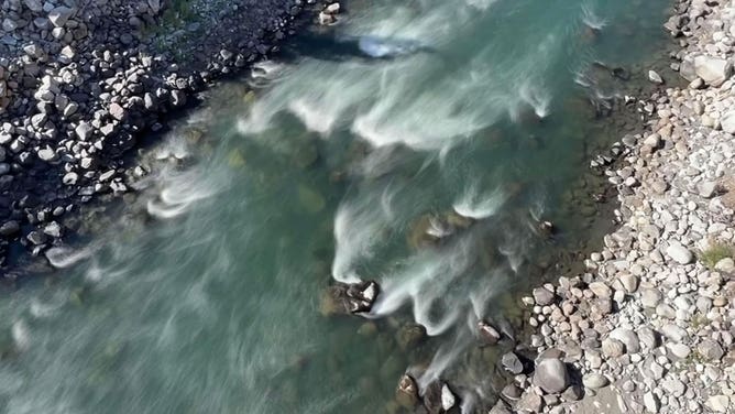 Yellowstone National Park 2022