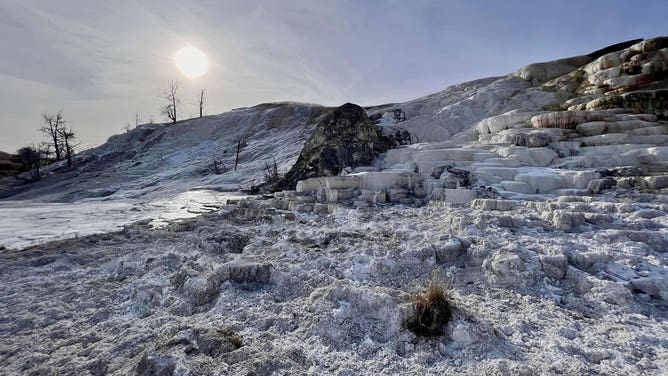 Yellowstone National Park 2022