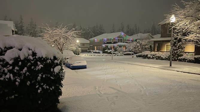 Up to 4 inches of snow fell through Wednesday, Nov. 30, 2022 in parts of Seattle as a winter storm brought snow, wind and rain.