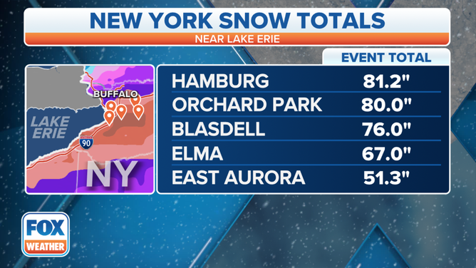 Buffalo area snow totals