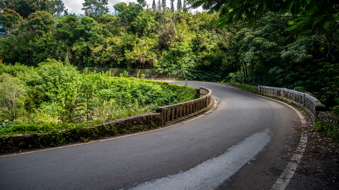 FILE - Maui, Hawaii, Beautiful scenic view of the lush greenery on the road to Hana.