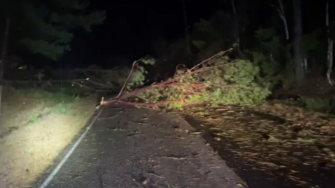 Damage is seen from a possible tornado in Sherwood, Mississippi, on Tuesday night.