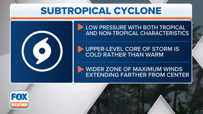 Can Subtropical Storms Become Hurricanes? | Fox Weather